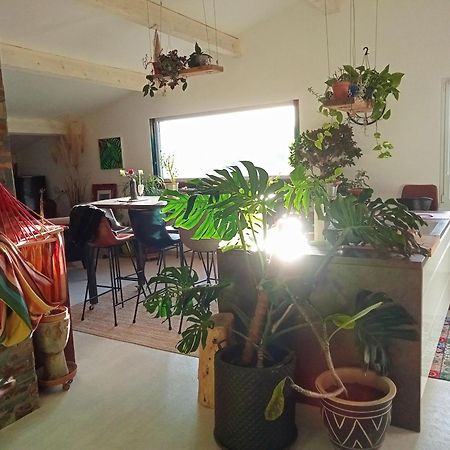 Logement De Charme Avec Piscine Et Jacuzzi Carnoules  エクステリア 写真