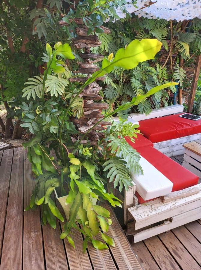 Logement De Charme Avec Piscine Et Jacuzzi Carnoules  エクステリア 写真