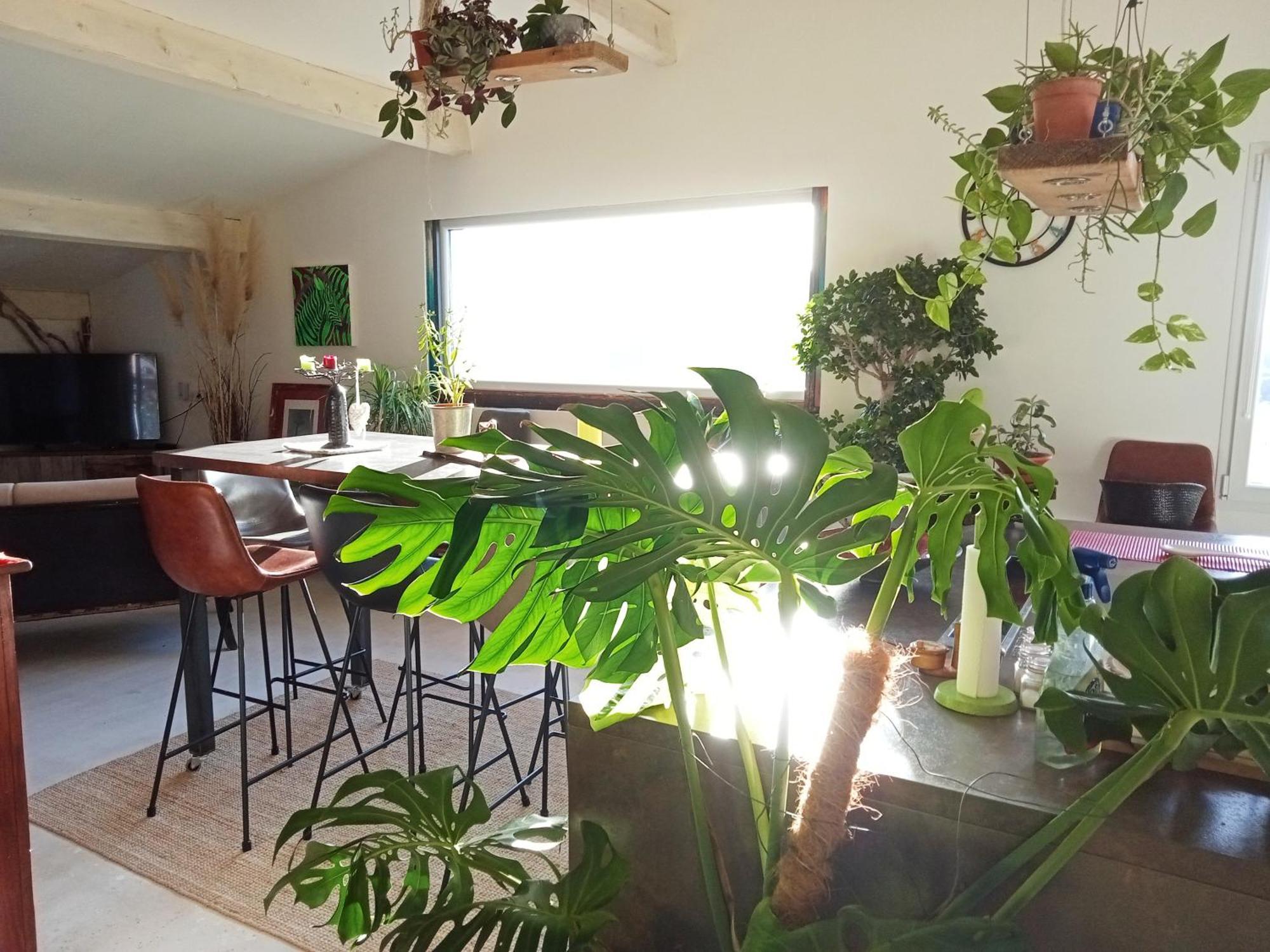 Logement De Charme Avec Piscine Et Jacuzzi Carnoules  エクステリア 写真
